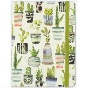 Notatnik Peter Pauper Press Midi Sukulenty akwarela