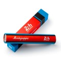 Długopis Montegrappa 24H Le Mans Legende Endurance - etui.jpg