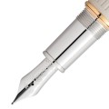 Pióro wieczne Montblanc Writers Edition Homage to Jane Austen stalówka.jpg