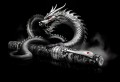 Pióro kulkowe Montegrappa Imperial Year of the Dragon edycja limitowana pokaz.jpg