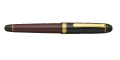 Pióro wieczne Platinum #3776 Century Favorite Things Collection Coffee Jelly zamknięte.png