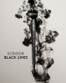 Długopis Caran d'Ache Ecridor Black Lines z etui prezentacja 2.jpg