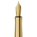 Pióro wieczne Graf von Faber-Castell Bloom Hornbeam stalówka.jpg