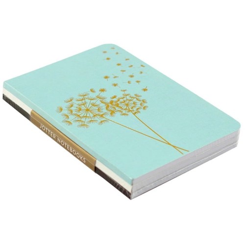 Notatniki Peter Pauper Press Jotter Dmuchawce 3 sztuki.jpg