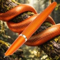 Pióro wieczne Diplomat Viper Orange Guilloche prezentacja.jpg
