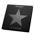 Pióro wieczne Montegrappa Icons David Bowie Blackstar etui.JPG