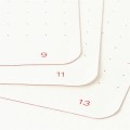 Notatnik Leuchtturm1917 Medium A5 Red Dots edycja limitowana kartki.jpg