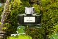 Atrement Graf von Faber-Castell Moss Green.jpg