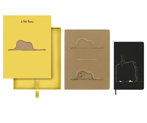 Notatnik i zeszyt Moleskine Mały Książe - Księżyc - zestaw.jpg