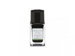 Atrament Pilot Iroshizuku Chiku-rin jasnozielony 15 ml