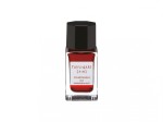 Atrament Pilot Iroshizuku Fuyu-gaki pomarańczowy 15 ml