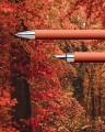 Pióro wieczne i Długopis Faber-Castell Ambition OpArt Autumn Leaves.jpg