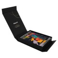 Pióro wieczne Pelikan Souverän M600 Art Collection Glauco Cambon edycja specjalna w etui.jpg